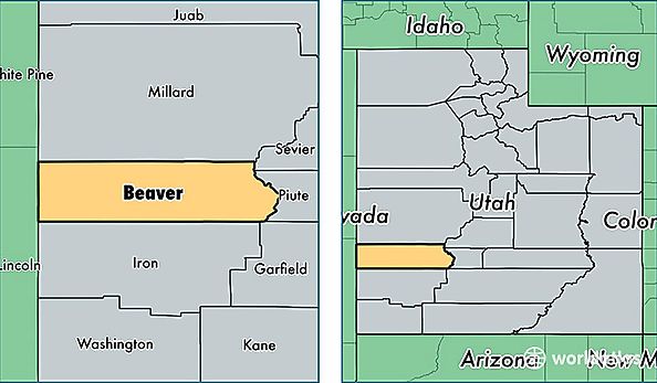 location of Beaver county on a map