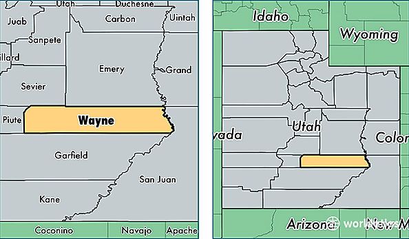 location of Wayne county on a map