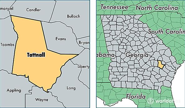 location of Tattnall county on a map