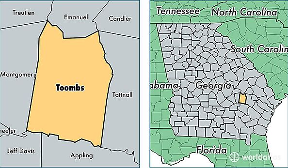 location of Toombs county on a map