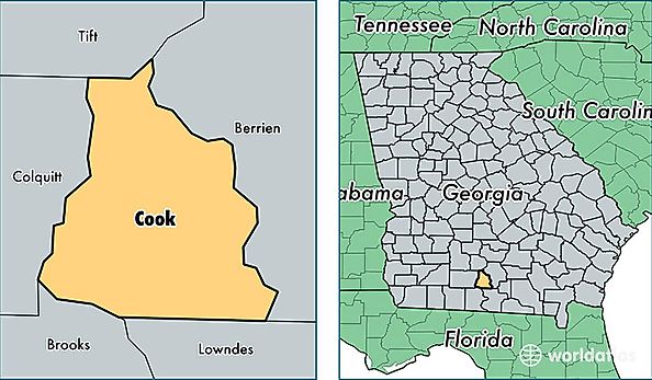 location of Cook county on a map