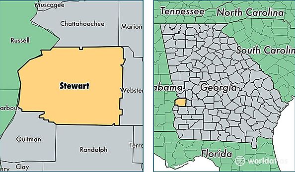 location of Stewart county on a map