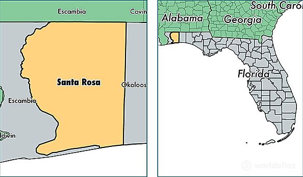 reporta naples border oncubanews
