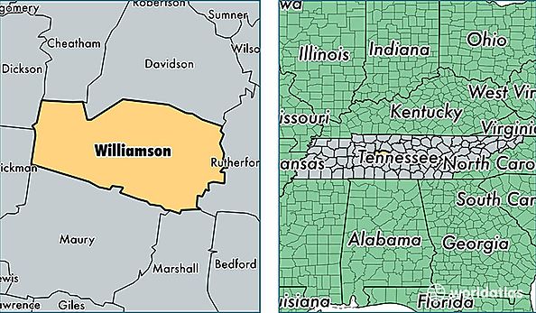 location of Williamson county on a map