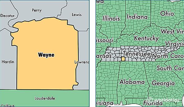 location of Wayne county on a map
