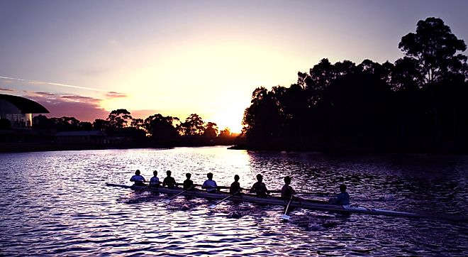 Rowers on Adelaide's Torrens River.