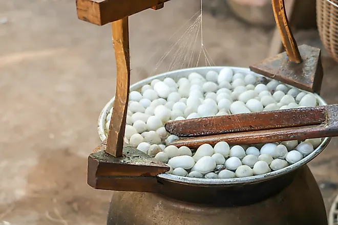 The process of producing silk by hand from silkworm cocoons.