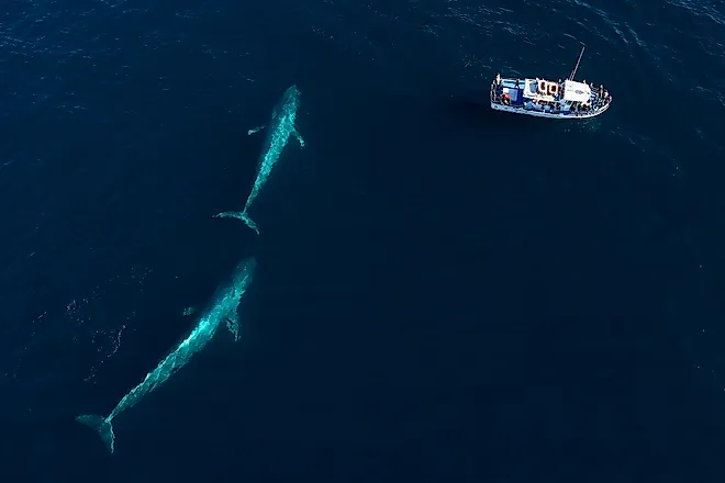 Pacific Ocean