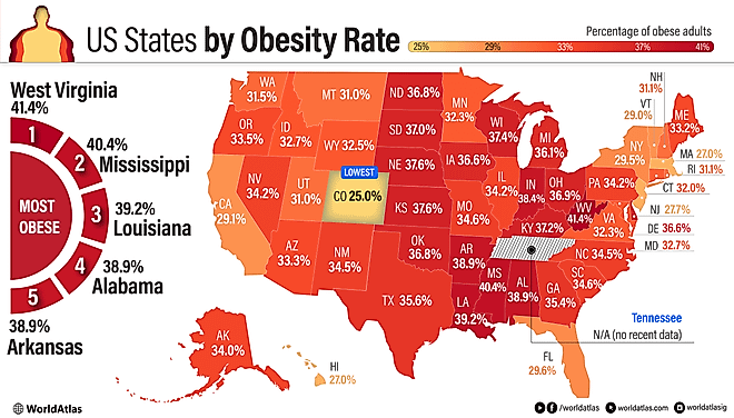 infographic showing US States by obesity rate