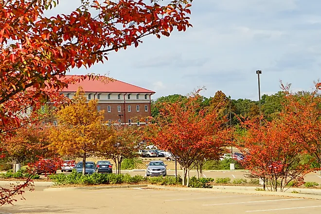 Oxford, Mississippi, in fall. Image credit: Feng Cheng / Shutterstock.com.