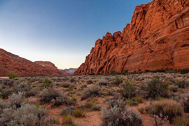 Golden hour at Snow Canyon State Park. 