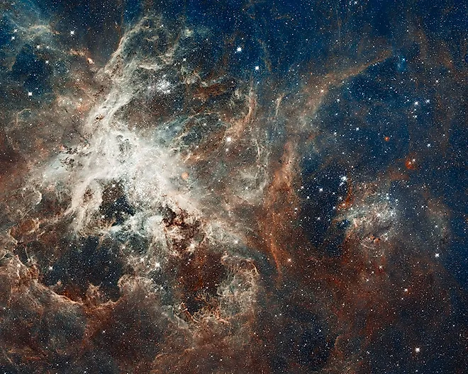 Hubble image of the Tarantula Nebula, a star-forming region home to R136a1, an extremely massive star. Image credit: NASA/ESA