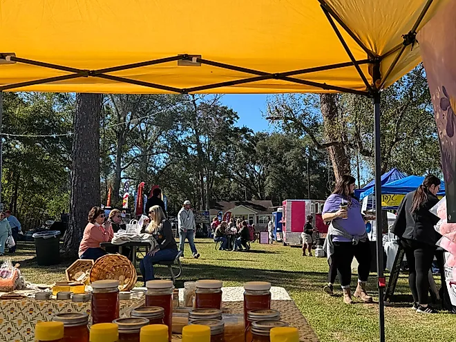 51st annual Million Pines Arts and Crafts Festival in Soperton, Georgia, via MaggieMyst / Shutterstock.com