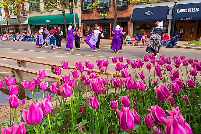 The Tulip Festival on the streets of downtown Holland, Michigan. Editorial credit: Dennis MacDonald / Shutterstock.com