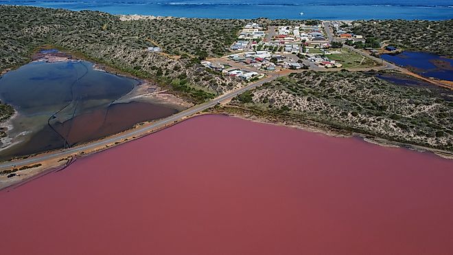 Pink Lake, Hutt Lagoon near Port Gregory Western Australia. 