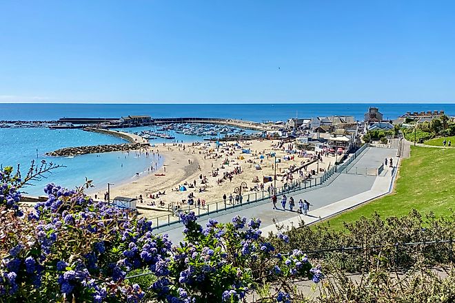 Lyme Regis Cobb. Image credit: Bryan Dearsley