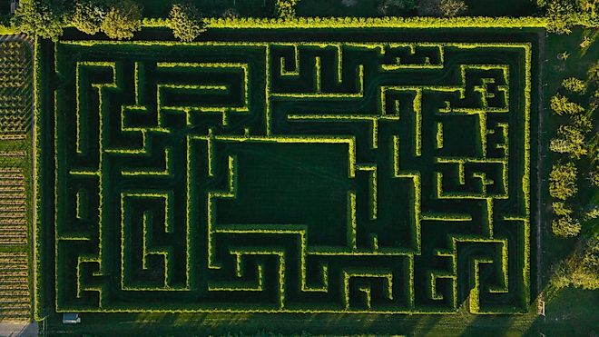 The Hedge Maze at Shamrock Christmas Tree Farm in Mattituck, New York. Image credit: Shamrock Christmas Tree Farm