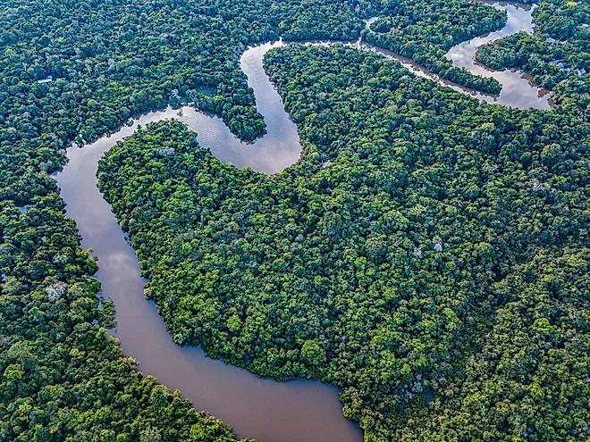 The Amazon River in the tropical rainforest