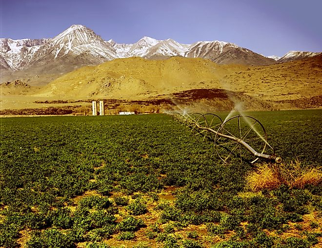 Watering a farm in Imperial Valley, California