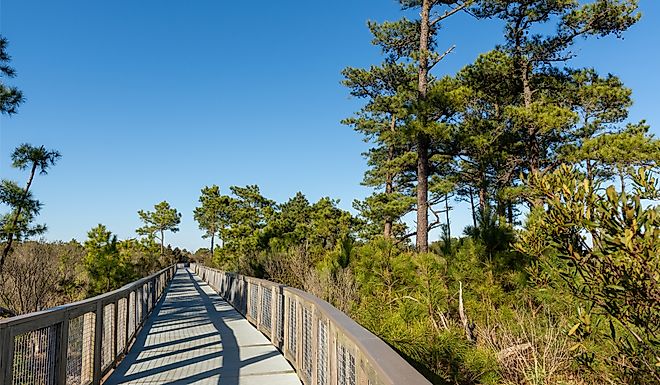 The Gordons Pond Trail in Cape Henlopen State Park, Lewes, Delaware.