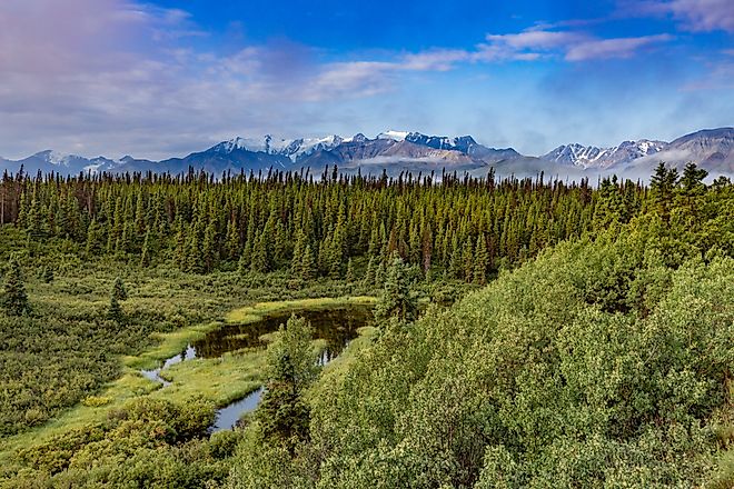 Boreal forest taiga wilderness landscape with Kluane National Park mountains of Mt. Cairnes and Mt Decoel