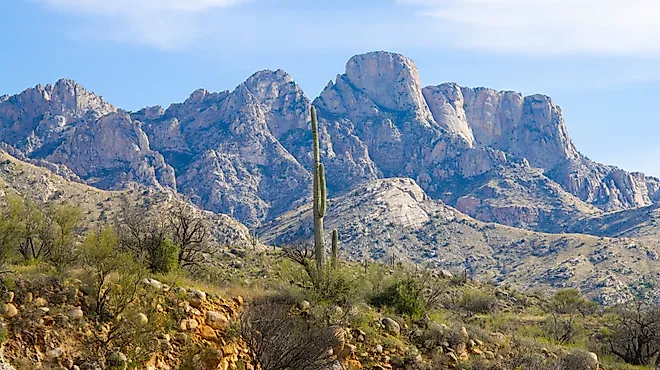 View of Pusch Ridge Peak in Arizona's Santa Catalina Mountains, Catalina State Park. 