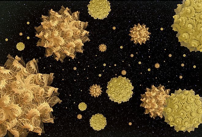 Seeds of bacteria or alien life in space, concept of Panspermia.