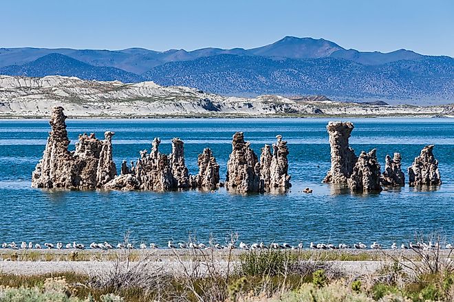 Tufa columns at Mono Lake, California.