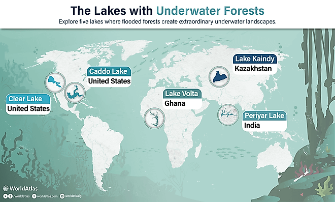 Infographic of the lakes with underwater forests. 
