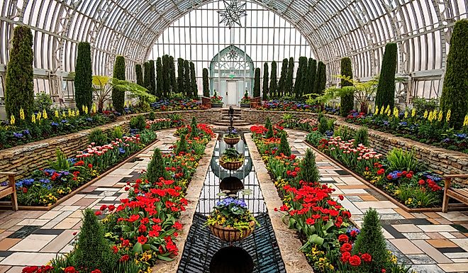 Como Park Zoo Marjorie McNeely Conservatory Spring Tulip Show. Editorial credit: TammiMild / Shutterstock.com