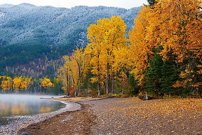 Fall foliage along the shore of Lake McDonald in Glacier National Park in Montana.