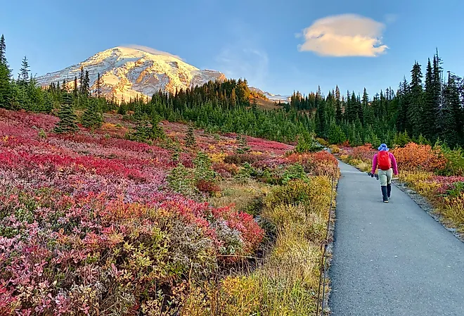Hikers at Mount Rainier, Washington, with fall colors.
