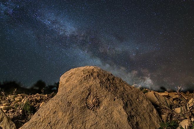 Ammonite under the starry sky