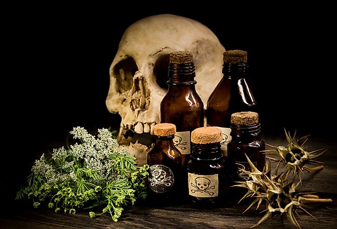 Skull, hemlock flowers, poisonous seeds and herbs.