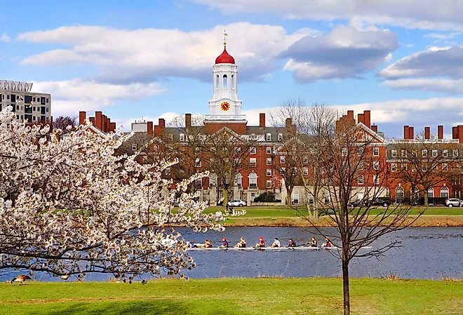 Harvard University, Cambridge, Massachusetts in the spring.