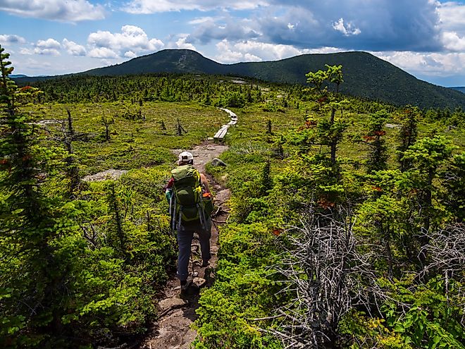 Hiker on Appalachian Trail in Maine.