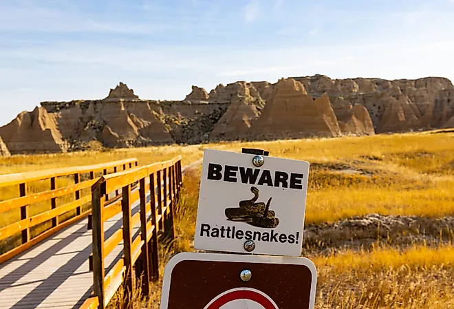 Rattlesnake Waring Sign on The Castle Trail Near Cedar Pass, Badlands National Park, South Dakota.