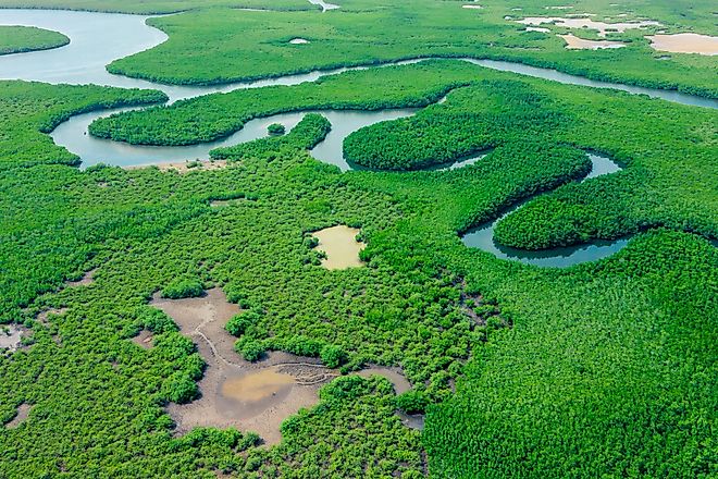 Amazon River in the Amazon Forest of Brazil