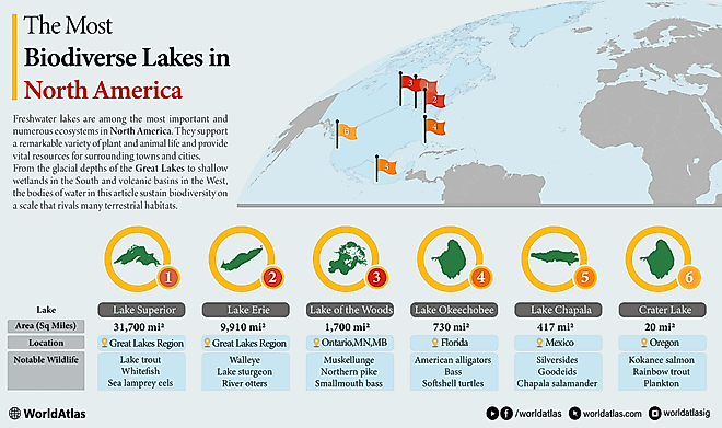 infographic showing the most biodiverse lakes in North America