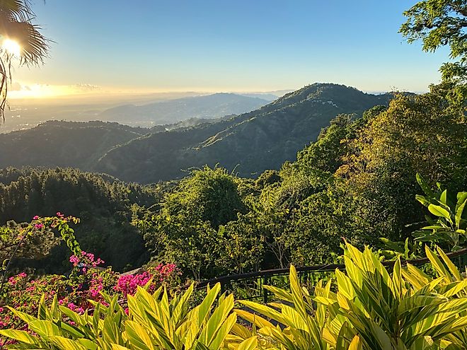 Tropical National Forest of El Yunque in Puerto Rico. 