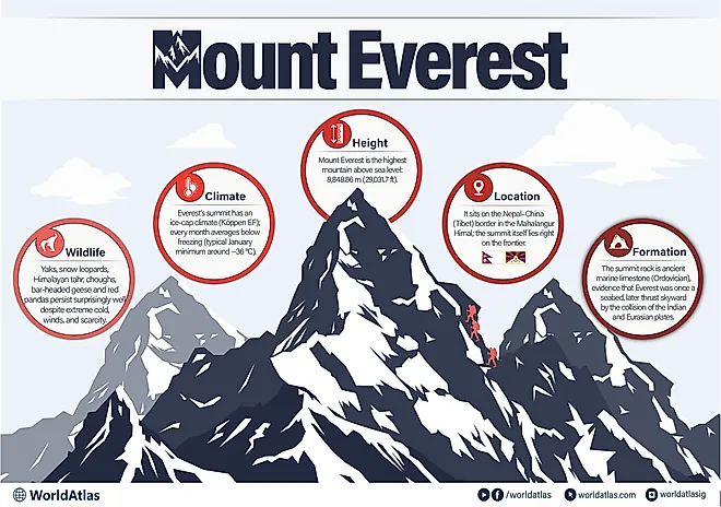 mount everest infographic