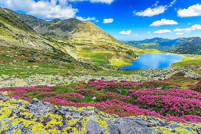Carpathian Mountains, Romania.