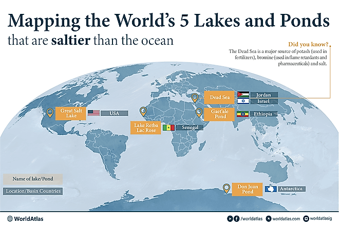 infographic showing 5 Bodies of Water That Are Saltier Than the Ocean