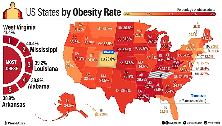 infographic showing US States by obesity rate