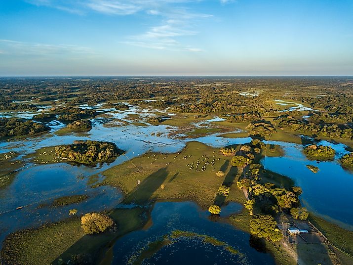 Pantanal photographed in Corumba, Mato Grosso do Sul. Pantanal Biome.