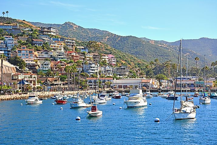 Boats in Avalon, California 