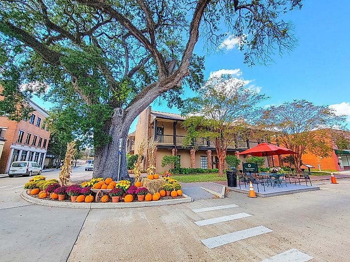 Historic downtown of Natchitoches, Louisiana, decorated for fall. Image credit: VioletSkyAdventures / Shutterstock.com.