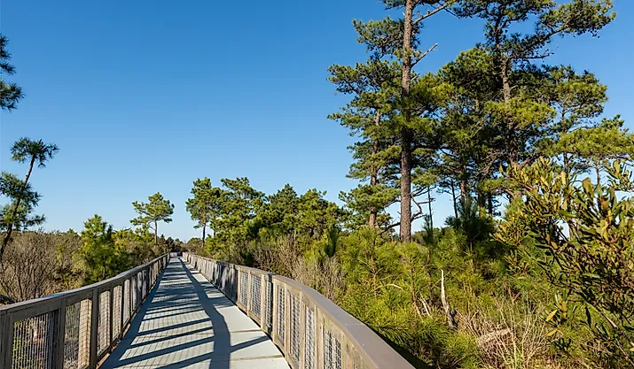 The Gordons Pond Trail in Cape Henlopen State Park, Lewes, Delaware.