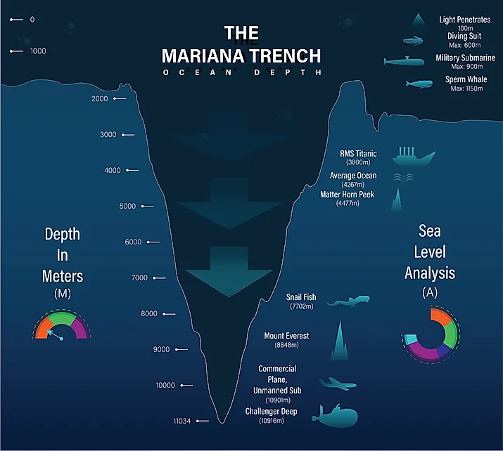 Mariana trench sea illustration. 