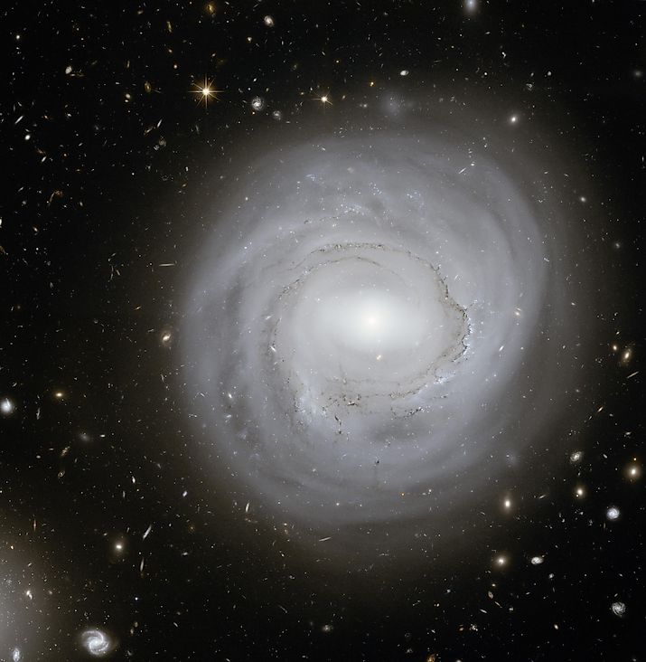 Light in the Universe.